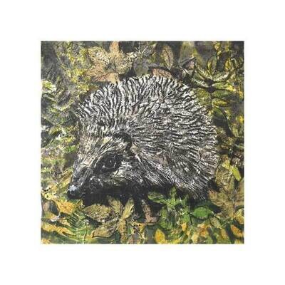Hedgehog by Annabel Langrish