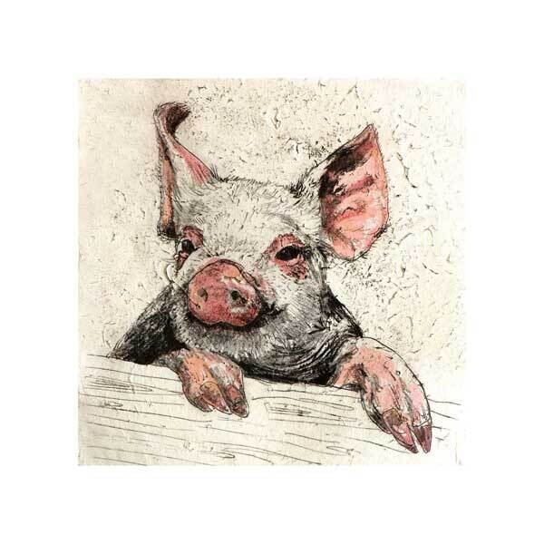 Pig on a gate by Annabel Langrish