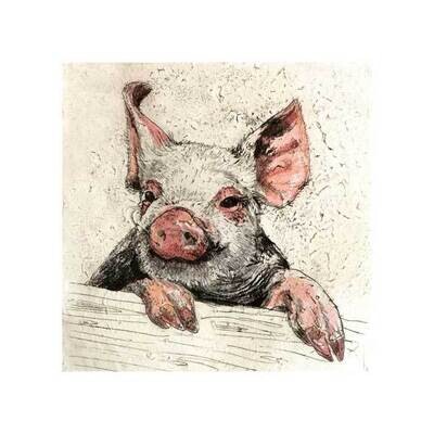 Pig on a gate by Annabel Langrish