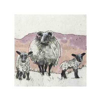Sheep &amp; lambs by Annabel Langrish