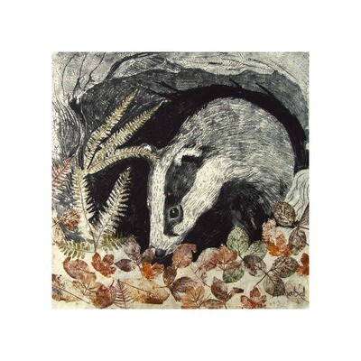 Badger by Annabel Langrish