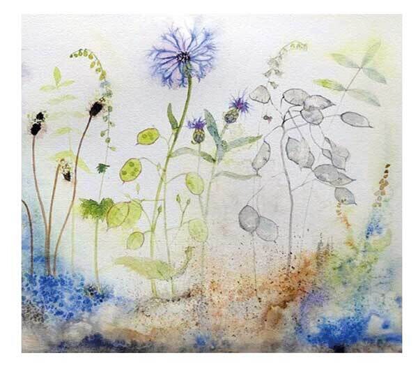 Penny Silverthorne - cornflowers