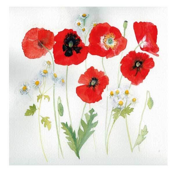 Penny Silverthorne - poppies
