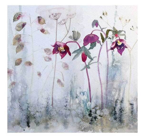 Penny Silverthorne - hellebores