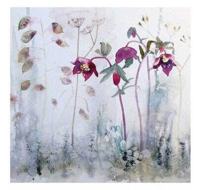Penny Silverthorne - hellebores