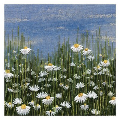 Jo Butcher - a field of daisies - mini card