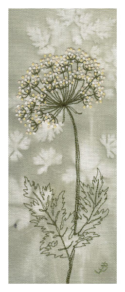 Jo Butcher - cow parsley