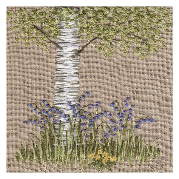 Jo Butcher - bluebells by the silver birch