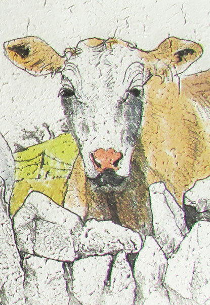 Annabel Langrish notebook - Cow