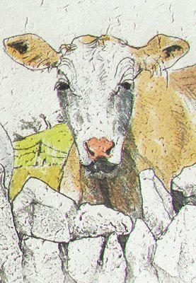 Annabel Langrish notebook - Cow