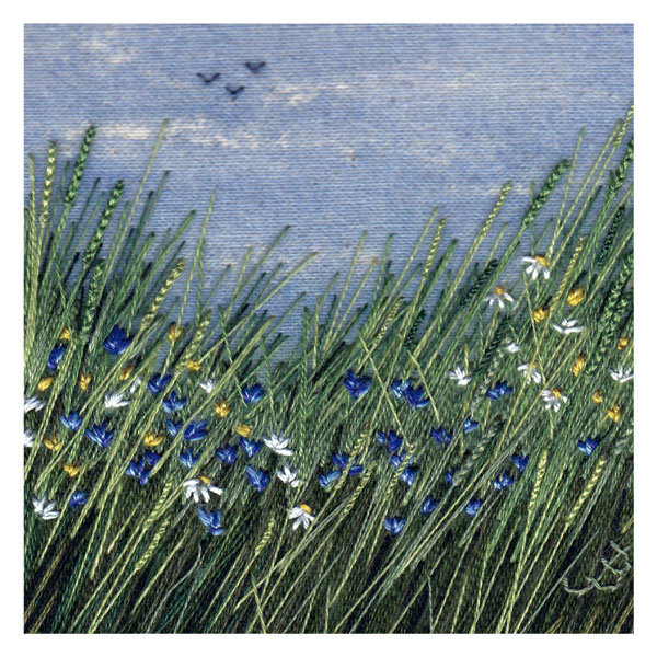 Jo Butcher - wild flowers