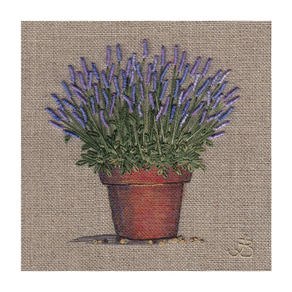 Jo Butcher - lavender in a pot