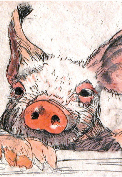 Annabel Langrish notebook - Pig