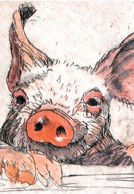 Annabel Langrish notebook - Pig