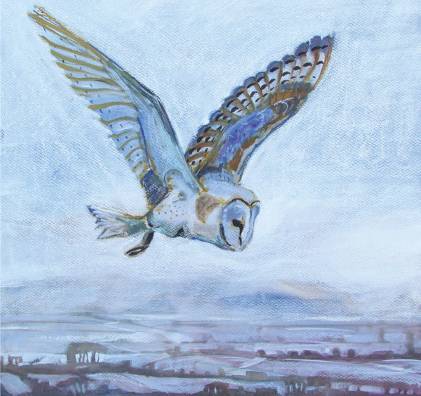 Annabel Langrish - barn owl in flight