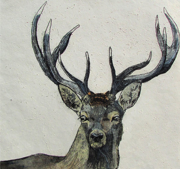 Annabel Langrish - stag