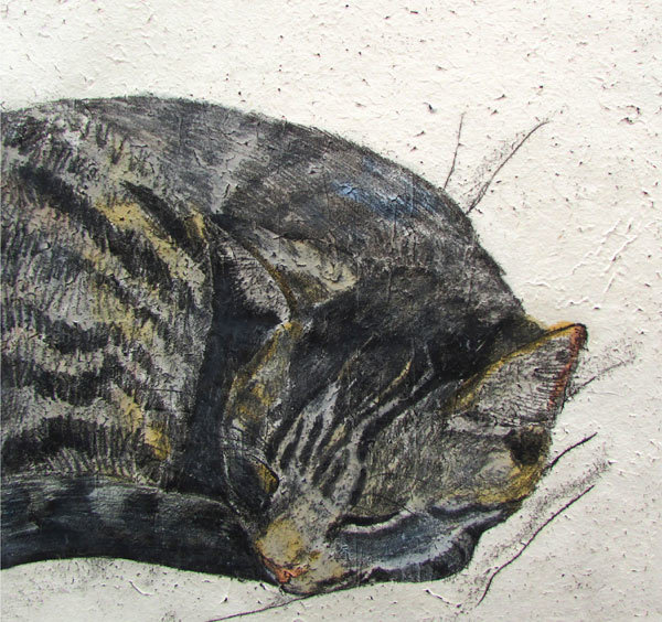 Annabel Langrish - sleeping cat