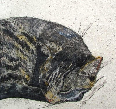 Annabel Langrish - sleeping cat