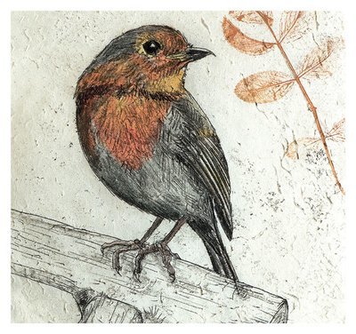 Annabel Langrish - robin the garden