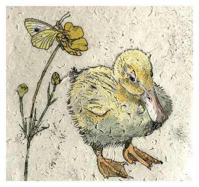 Annabel Langrish - duckling