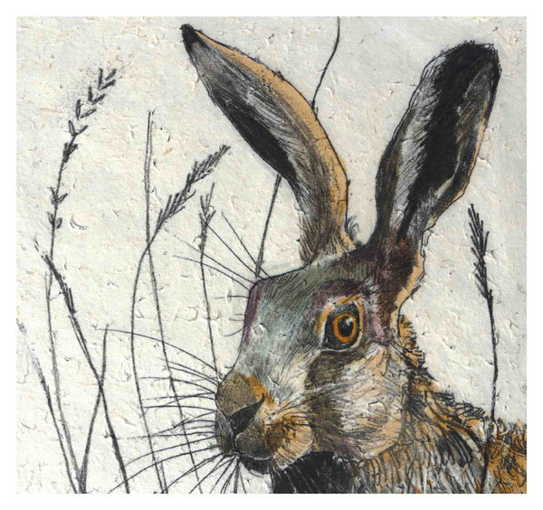 Annabel Langrish - hare