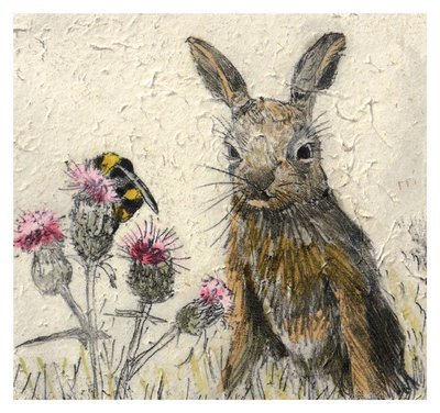 Annabel Langrish - leveret