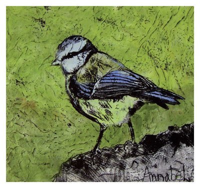 Annabel Langrish - blue tit