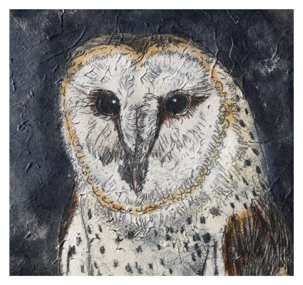 Annabel Langrish - owl - mini card