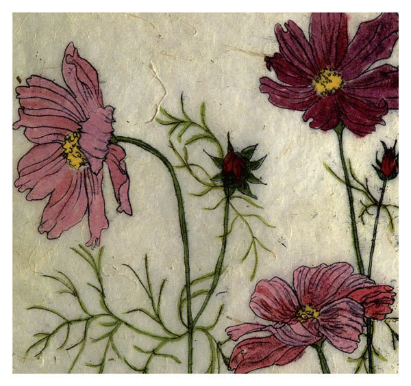 Annabel Langrish - cosmos