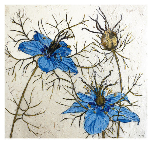 Annabel Langrish - cornflowers