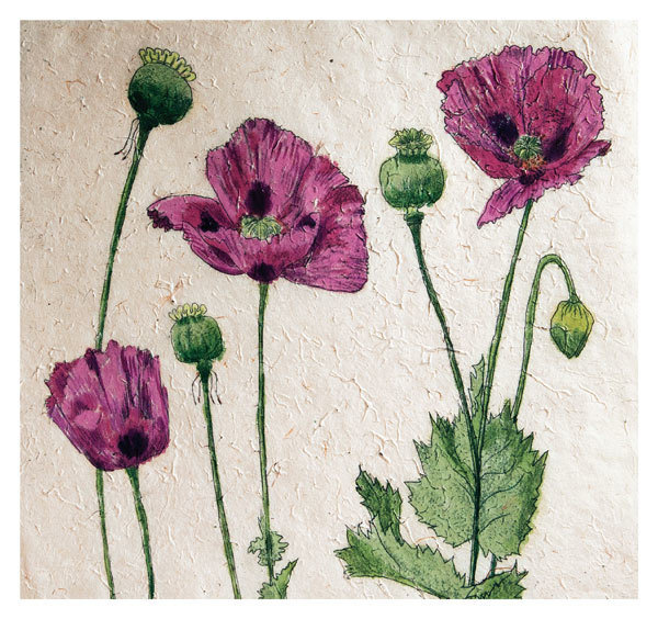 Annabel Langrish - pink poppies - mini card