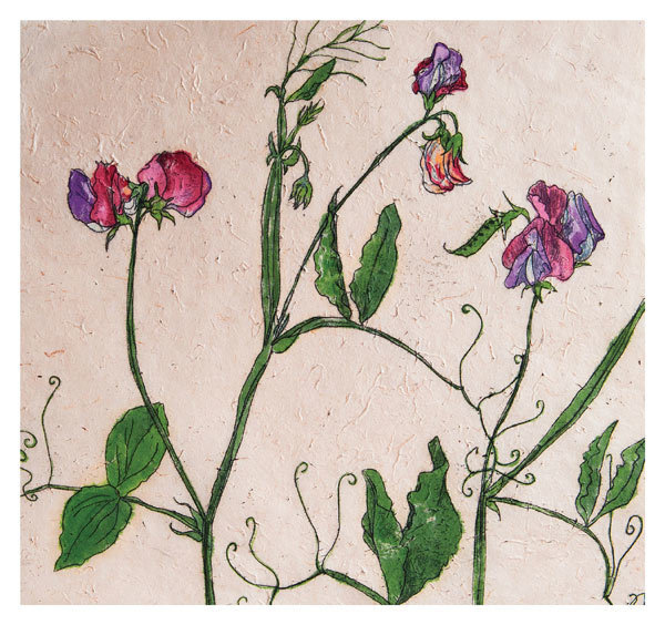 Annabel Langrish - Sweet pea- mini card