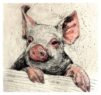 Pigs