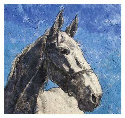 Annabel Langrish - horse