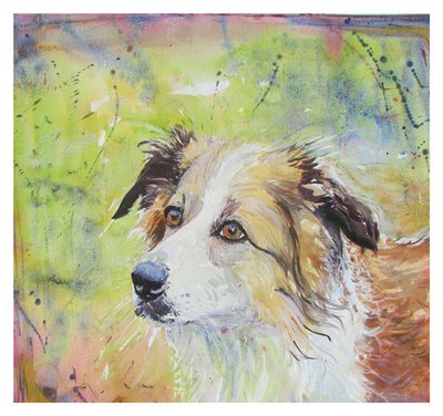 Annabel Langrish - dog