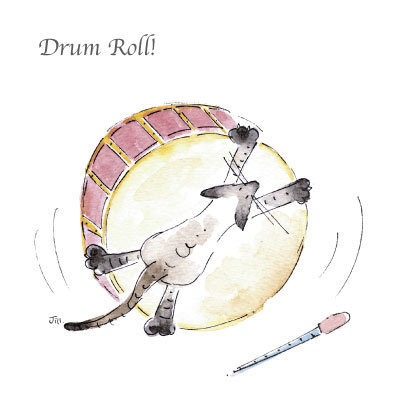 Musical Cats - Drum Roll