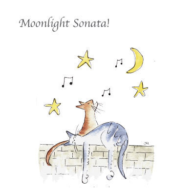 Musical Cats - Moonlight