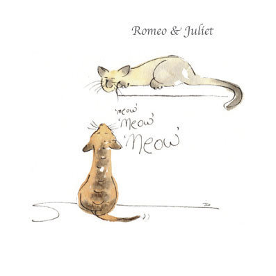 Classical Cats - Romeo and Juliet