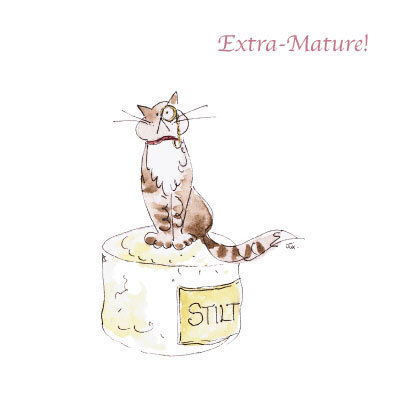 Culinary Cats - Extra- Mature