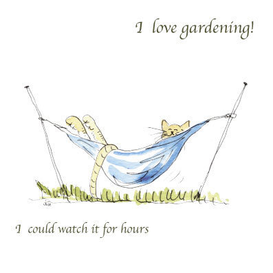 Garden Cats - I love Gardening