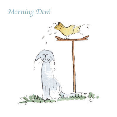 Garden Cats - Morning Dew