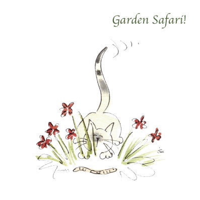 Garden Cats - Garden Safari