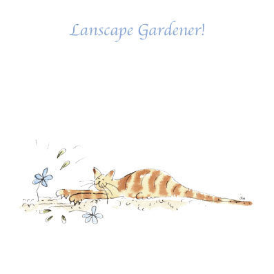 Garden Cats - Landscape Gardener