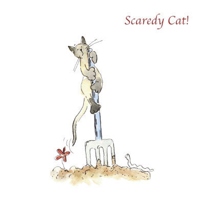 Garden Cats - Scaredy Cat