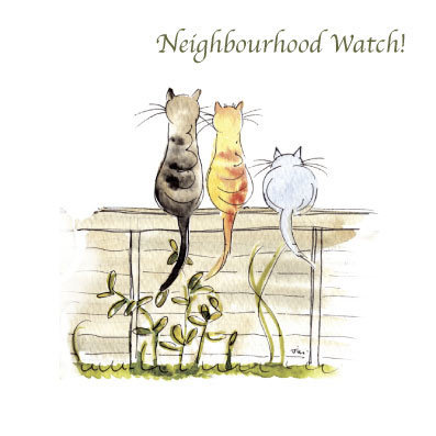Garden Cats - Neighbourhood Watch