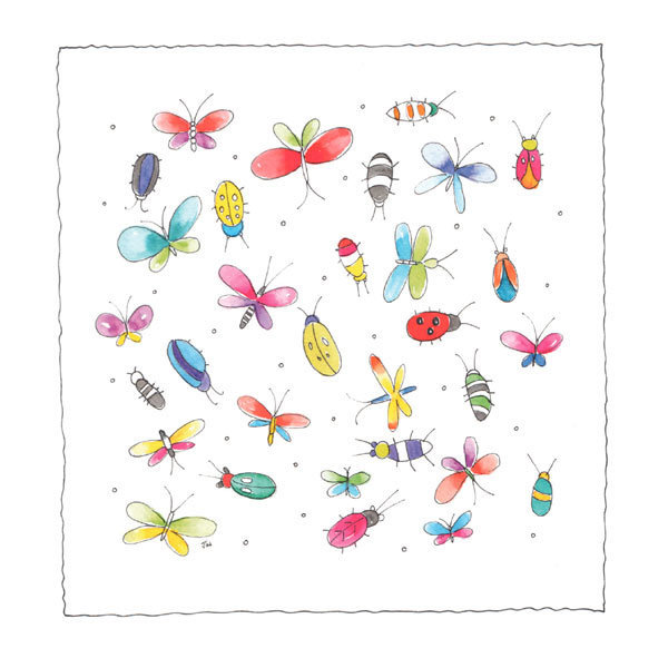 Jill Latter - Insects