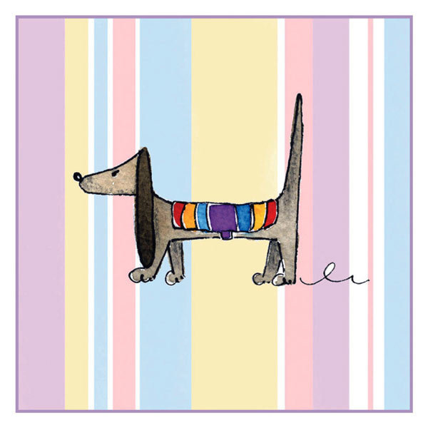 Jill Latter - Dog