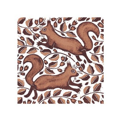 Nat Morley  - beechnut squirrels