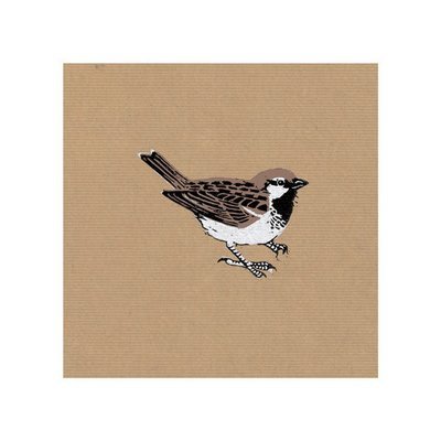 Nat Morley  - sparrow