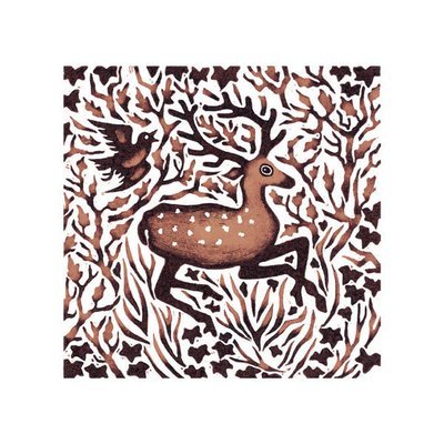 Nat Morley  - woodland deer